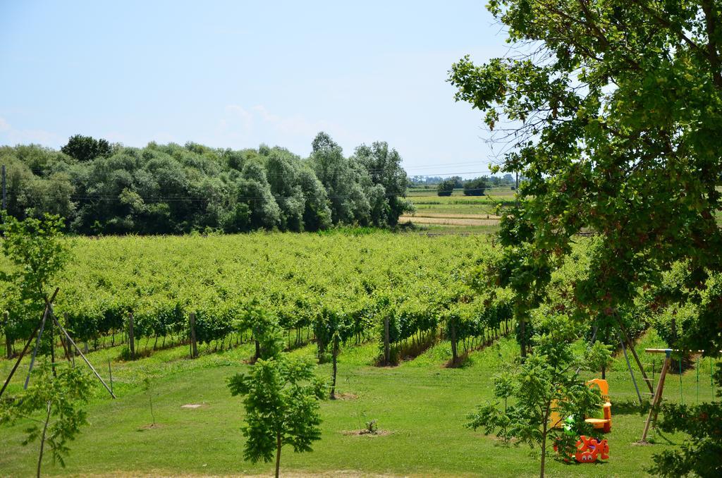 La Di Anselmi Villa Palazzolo dello Stella Szoba fotó