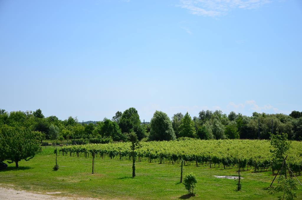 La Di Anselmi Villa Palazzolo dello Stella Szoba fotó